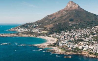 Out of Africa and Homeward Bound